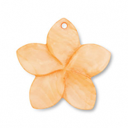 Anh&auml;nger Muschel Flower Orange