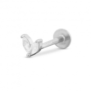 Stainless Steel - Rostfrei Stahl Ohrpiercing Leaf Silver