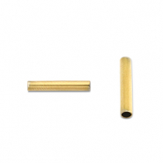 Perlen aus Stainless Steel - Rostfreiem Stahl Tubes 5mm Gold