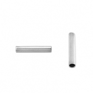 Perlen aus Stainless Steel - Rostfreiem Stahl Tubes 5mm Silver