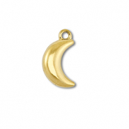 Anhänger aus Stainless Steel - Rostfreiem Stahl Moon Gold