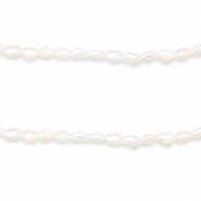 BQ S&uuml;sswasser Perlen Rice 5x4mm Natural white