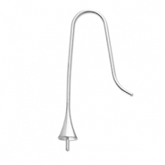 Zubehör aus Stainless Steel - Rostfreiem Stahl Ohrringe / Ohrhänger mit Endkappe Silver