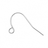 Zubehör aus Stainless Steel - Rostfreiem Stahl Ohrringe / Ohrhänger with Loop Silver