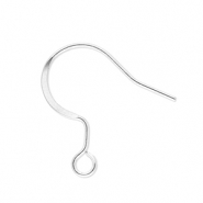 Zubehör aus Stainless Steel - Rostfreiem Stahl Ohrringe / Ohrhänger with Loop Silver
