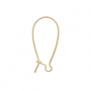 Zubehör aus Stainless Steel - Rostfreiem Stahl Ohrhänger verschliessbar Gold