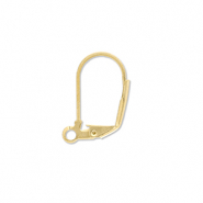 Zubehör aus Stainless Steel - Rostfreiem Stahl Ohrhänger verschliessbar with Loop Gold