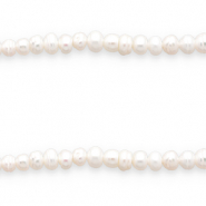 BQ S&uuml;sswasser Perlen Flat Round Natural white