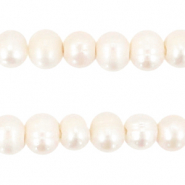 BQ Süsswasser Perlen rund 5-6mm Ivory