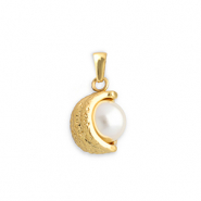 Anh&auml;nger aus Stainless Steel - Rostfreiem Stahl with Imitation Pearl Gold-white