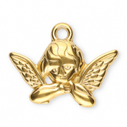 Anh&auml;nger aus Stainless Steel - Rostfreiem Stahl Angel Gold