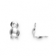 Zubeh&ouml;r aus Stainless Steel - Rostfreiem Stahl Kalotten 2 mm Silver