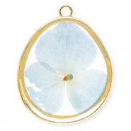 Getrocknete Blumen Anh&auml;nger Egg-Shaped Gold-light blue