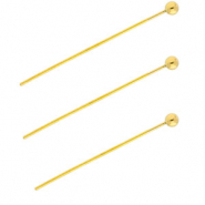 BY31&reg; Zubeh&ouml;r aus Stainless Steel - Rostfreiem Stahl Nietstifte with Ball 35 mm Gold