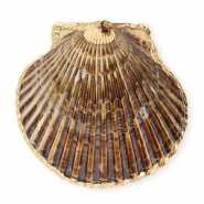 Anh&auml;nger Muschel Special Scallop Dark brown-gold