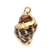 Anh&auml;nger Muschel Special Whelk Brown-gold