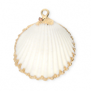 Anh&auml;nger Muschel Special Cockles White-gold