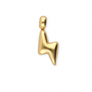 BY31® Anhänger aus Stainless Steel - Rostfreiem Stahl Thunder Gold