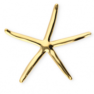 Statement Broschen aus Stainless Steel - Rostfreiem Stahl Starfish Gold