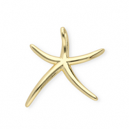 TQ Metall Brass Anh&auml;nger Starfish Gold