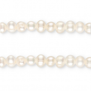 TQ Süsswasser Perlen Round 5-6 mm Ivory