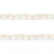 TQ Süsswasser Perlen Rice 6x4 mm Natural white