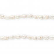 TQ Süsswasser Perlen Rice 5x4 mm Natural white