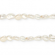 TQ Süsswasser Perlen Nugget Oval 6x5 mm Natural white