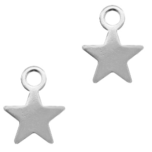 Anh&auml;nger aus Stainless Steel - Rostfreiem Stahl Stern Silber