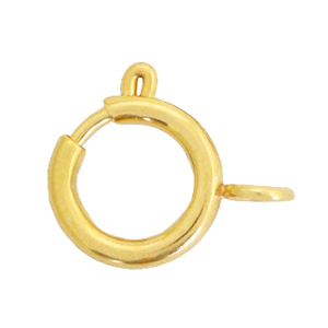 Zubeh&ouml;r aus Stainless Steel - Rostfreiem Stahl Verschluss 12x14mm Gold