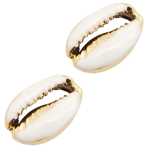 Perle Muschel Spezial Kauri Half white-gold