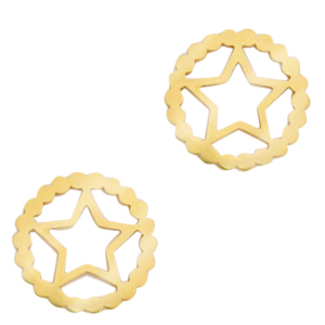 Anh&auml;nger aus Stainless Steel - Rostfreiem Stahl Zwischenst&uuml;ck Star Gold