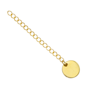 Zubeh&ouml;r aus Stainless Steel - Rostfreiem Stahl Verl&auml;ngerungskette coin 10mm Gold