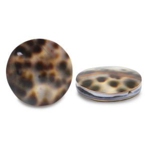 Perle Muschel 20mm Brown