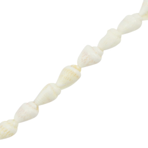 Perle Muschel Wellhornschnecke White (Naturliche Farbe Muschel)