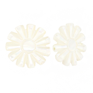 Perle Muschel Sonne White (Naturliche Farbe Muschel)