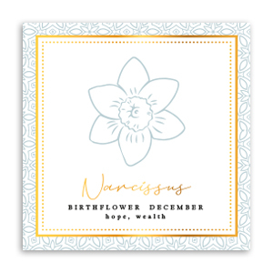 Karten f&uuml;r Schmuck Geburtsblume Dezember-Narzisse Greenish grey