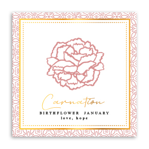 Karten f&uuml;r Schmuck Geburtsblume Januar-Nelke Red