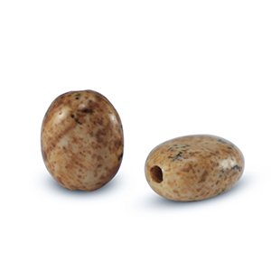 Perlen Naturstein Dalmatiner Jaspis Oval Acorn brown