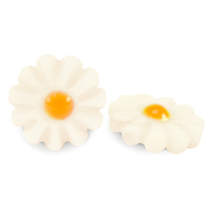 Perle Muschel S&uuml;&szlig;wasserperlmutts Blume White-yellow orange