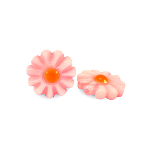 Perle Muschel S&uuml;&szlig;wasserperlmutts Blume Watermelon pink-orange