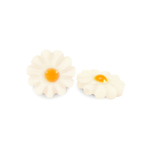 Perle Muschel S&uuml;&szlig;wasserperlmutts Blume White-yellow orange