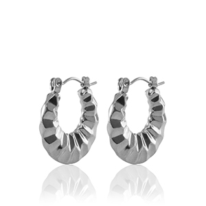 Stainless Steel - Rostfrei Stahl Ohrringe Creolen 20mm Silver