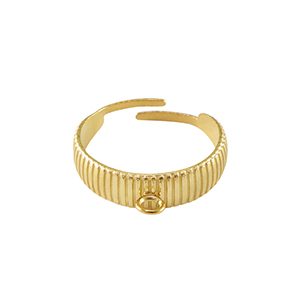 Stainless Steel - Rostfrei Stahl Ringe mit &Ouml;se Gold
