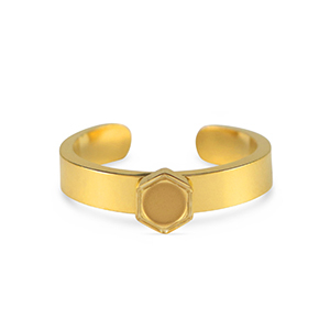Geburtsstein Ring mit Fassung f&uuml;r SS16 Flatback Rostfreiem Stahl Gold