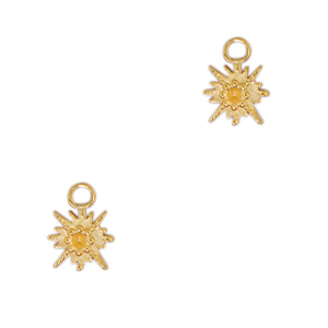 Anh&auml;nger aus Stainless Steel - Rostfreiem Stahl Star Gold