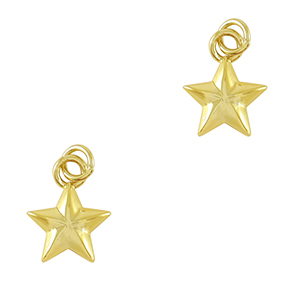 TQ Metall Brass Anh&auml;nger Star Gold