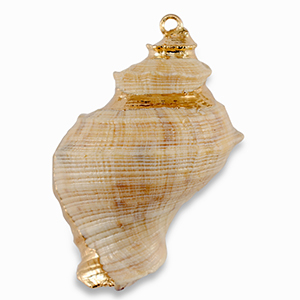 Anh&auml;nger Muschel Special Beige-gold