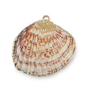 Anh&auml;nger Muschel Special Scallop Copper brown-gold