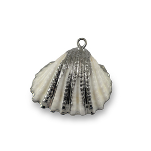 Anh&auml;nger Muschel Special Scallop White-silver